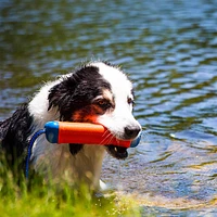 Chuckit! - Dog Toy - Flying Squirrel