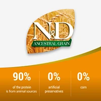 Dry Puppy Food