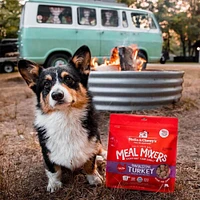 Stella & Chewy's - Freeze Dried Raw Dog Food Meal Mixer - High Protein & Grain Free - Tantalizing Turkey Meal Recipe - 3.5 oz