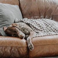 Tall Tails - Dog Bed Blanket