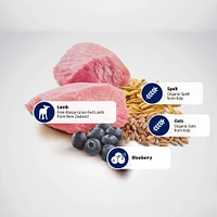 - Dry Puppy Food - Lamb & Blueberry Mini Puppy