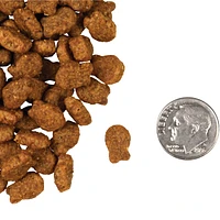 Fromm - Dry Cat Food - Salmon Tunachovy® Recipe