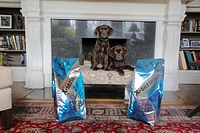 Redpaw - Dog Food - X-Series Puppy