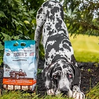 Tucker's - Frozen Dog Food - Pork,  Lamb,  & Pumpkin