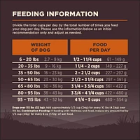 Wellness - Dry Dog Food – High Protein,  Grain Free Natural Diet – Original Turkey & Chicken Recipe