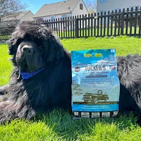 Tucker's - Frozen Dog Food - Turkey & Pumpkin