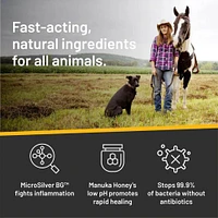 Silver Honey - Antibacterial Rapid Skin Relief Medicated Shampoo – Soothing for Dogs & Pets