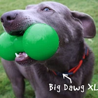 - Durable Retrieving Dog Toy - Tough For Chewing & Fetch - Big Dawg