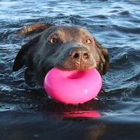 Ruff Dawg - Durable Retrieving Dog Toy - Bouncy Rubber Ring for Chewing & Fetch - Dawg-Nut