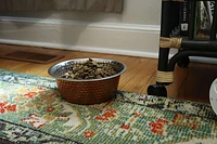 Spot - Dog Bowl - Hammered Copper Bowl