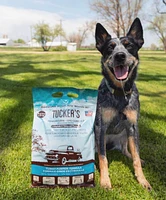 Tucker's - Frozen Dog Food - Turkey & Pumpkin