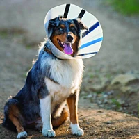 KONG - Adjustable E-Collar EZ Clear™ - Comfortable & Lightweight Recovery Cone For Dogs & Cats
