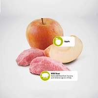 Farmina - Dry Dog Food - Boar & Apple Mini Adult