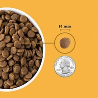 ACANA - High Protein Dry Dog Food - Supports Digestion,  Skin & Coat Health - Free Run Poultry Recipe - 25 lbs Bag