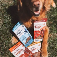Otis - Natural Dog Training Treats - Trainers for Focus & Learning - Salmon Recipe