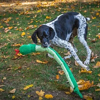 - Plush Dog Toy - Lucky Snake Knottie