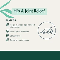 Pet Releaf - Hemp Extract Edibites - Hip & Joint Releaf Peanut Butter & Banana Family Pack