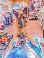 Redpaw - X-Series Puppy Dry Dog Food - Supports Healthy Growth,  Digestion & Development - 4 lbs Bag