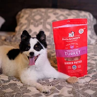 Stella & Chewy's - Dog Food - Freeze-Dried Raw Tantalizing Turkey