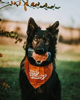 Tucker's - Frozen Dog Food - Turkey & Pumpkin