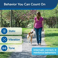 PetSafe - 300-Yard Remote Dog Trainer - Waterproof E-Collar