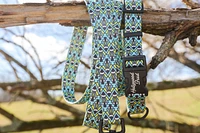 Dog Collar - Arrow Blue