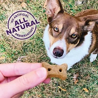 - Crunchy Dog Treats - Natural High Protein Biscuits - P-Nuttier Recipe - Mini