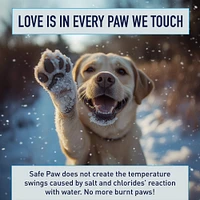 Safe Paws  - Pet Safe Ice Melt