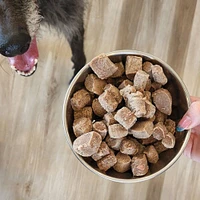 Frozen Dog & Cat Food - Raw Nutrition & High Protein