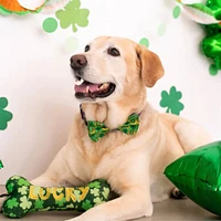Huxley & Kent - Plush Dog Toy - Lucky Charm Bone