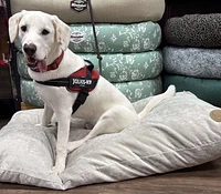 Mississippi Cut & Sewn - Dog Bed - Pillow Bed - X-Large