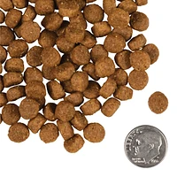 Fromm - Small Breed Adult Dry Dog Food - Supports Digestion,  Lean Muscle & Complete Nutrition - 5 lbs Bag