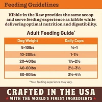 Primal - Kibble in the Raw Dog Food - Premium Freeze Dried Raw Nutrition with Whole Ingredients - Beef Recipe
