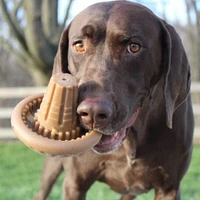 Tall Tails - Shroom Chew Dog Toy - Long Lasting & Bacon Scented with Wobble Action for Interactive Play