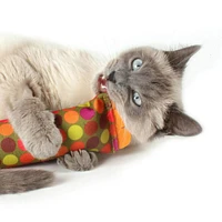Hauspanther - Cat Toy - ModKicker Zest