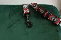 - Nylon Dog Leash - Southwest Red