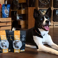 Dog Treat - Single Ingredient,  High Protein & Slow Roasted - Pork Jerky