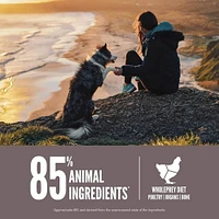 Orijen - High Protein Dry Dog Food - Supports Weight Loss & Immune Health - Fit & Trim - 4.5 lbs Bag