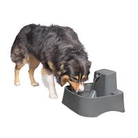 PetSafe - Pet Fountain - Automatic Waterer