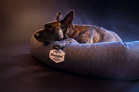 Mississippi Made - Donut Dog Bed - Celadon Navy