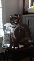 New York Made - Stain & Odor Remover Urine Destroyer - White Pear and Bamboo