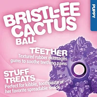 JW - Puppy Toy - Bristl-ee Cactus Ball