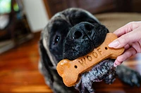 Wet Noses - Dog Treat - Moments Pumpkin Big Bone