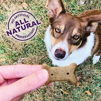 Crunchy Dog Treats - Natural High Protein Biscuits - Original Mix