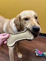 Spot - Dog Chew Toy