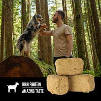 Orijen - Freeze Dried Dog Treat - High Protein Training Reward - Tundra Recipe