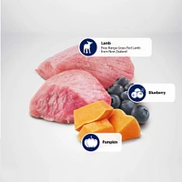 - Dry Cat Food - Lamb,  Pumpkin,  & Blueberry Neutered Cat