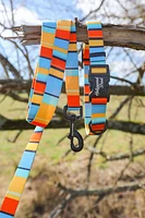 Dog Collar