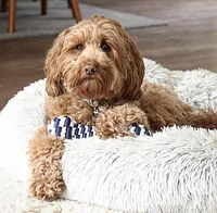 Tall Tails - Rope Toy - Navy Braided Bone