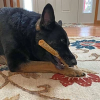 - Rawhide Alternative Dog Chew - Digestible & Long Lasting Treat - Beef Roll - 2 Pack